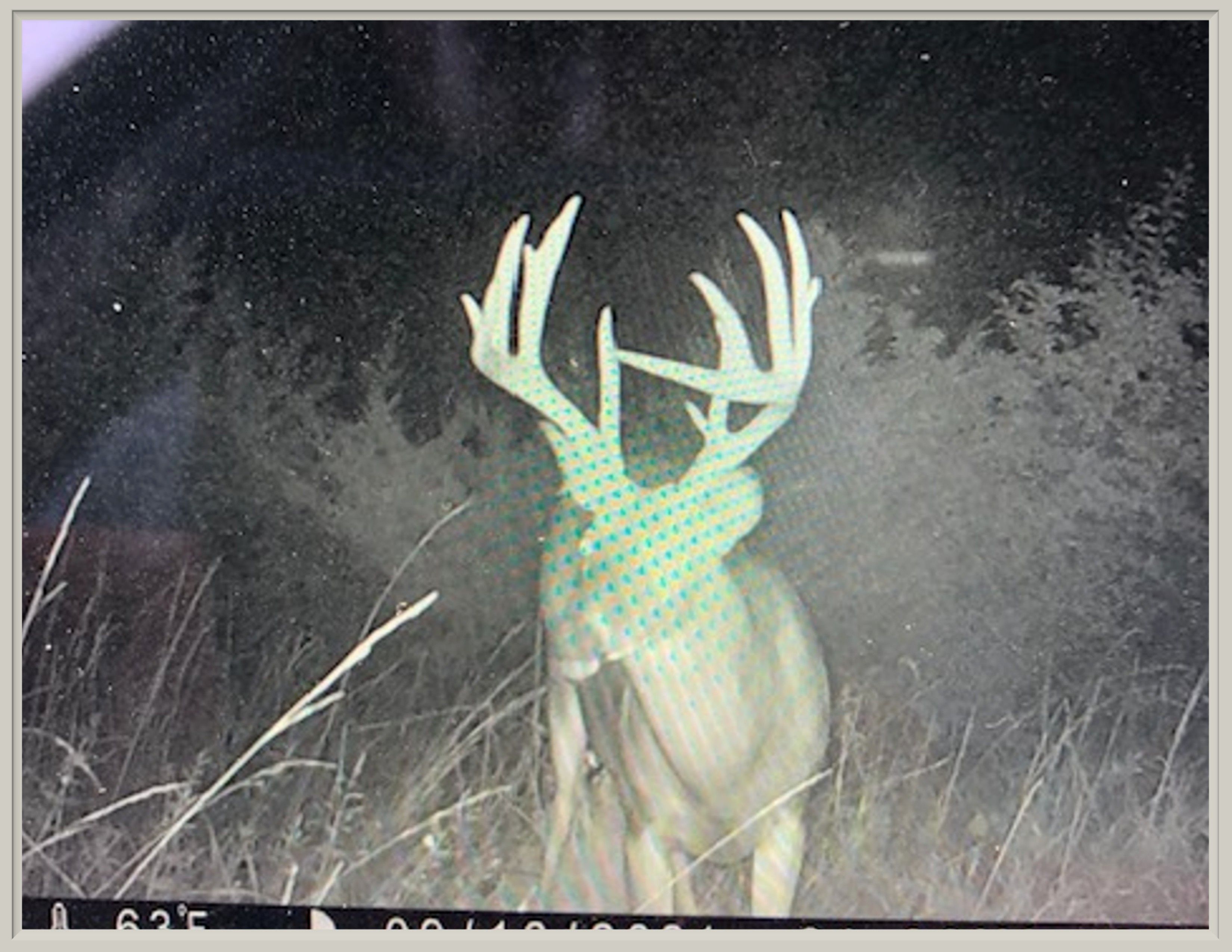 Listing Photo: 18661-65488213502__2257E19F-D617-4121-AE8B-D6EC4DAA8F12 (1)